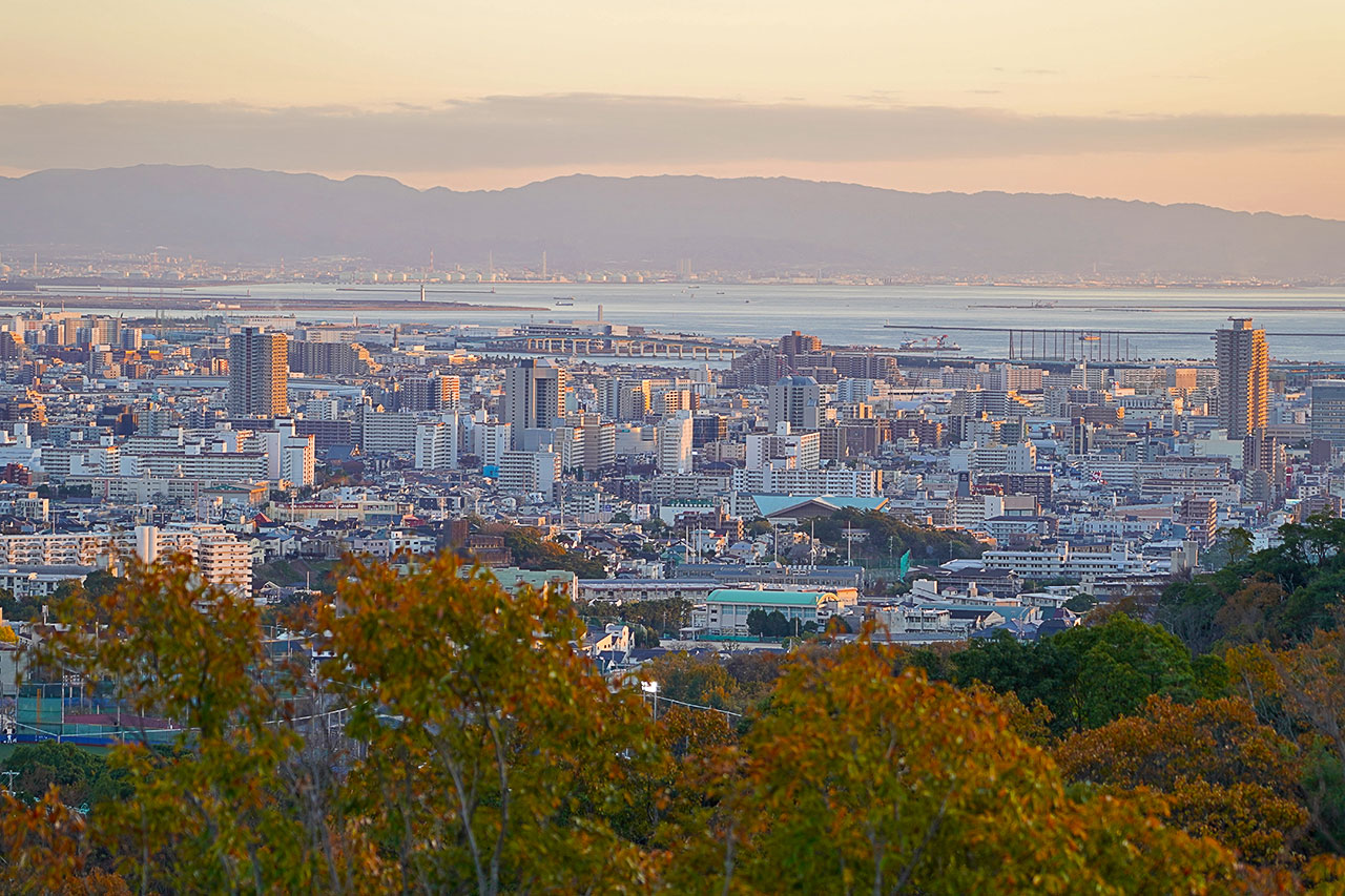 フォトギャラリー