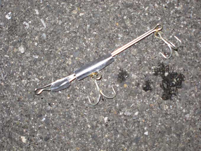 ヨレヨレGイワシ