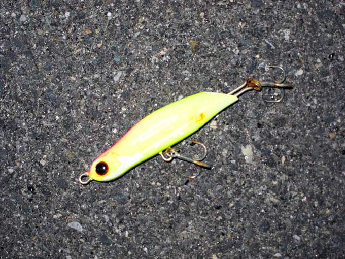 ミニヨレ・スーパーイエロー