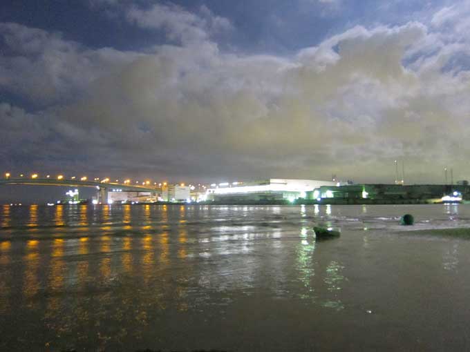 ウェーディング