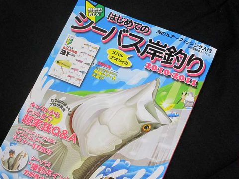 はじめてのシーバス岸釣り