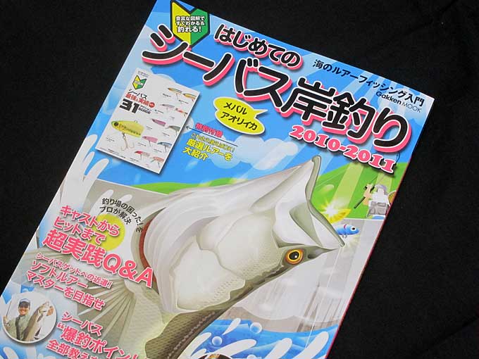 はじめてのシーバス岸釣り