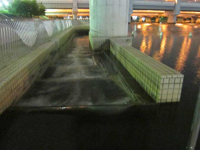 堰堤横・上流から