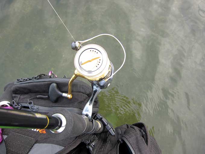 ウェーディング