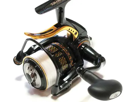 IMG_1667a-480x360.jpg.webp