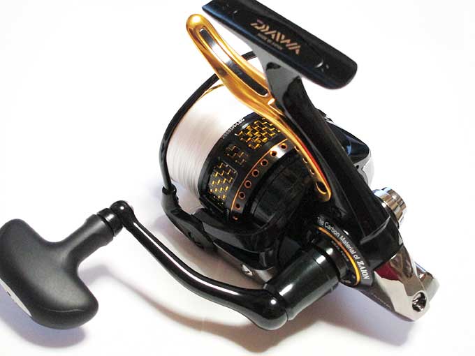 モアザンブランジーノ 2508SH LBD