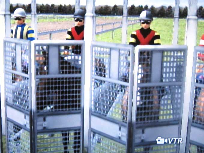 Champion Jockey: Gallop Racer & GI Jockey