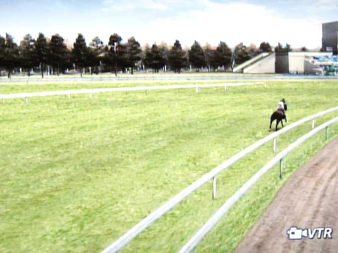 Champion Jockey: Gallop Racer & GI Jockey