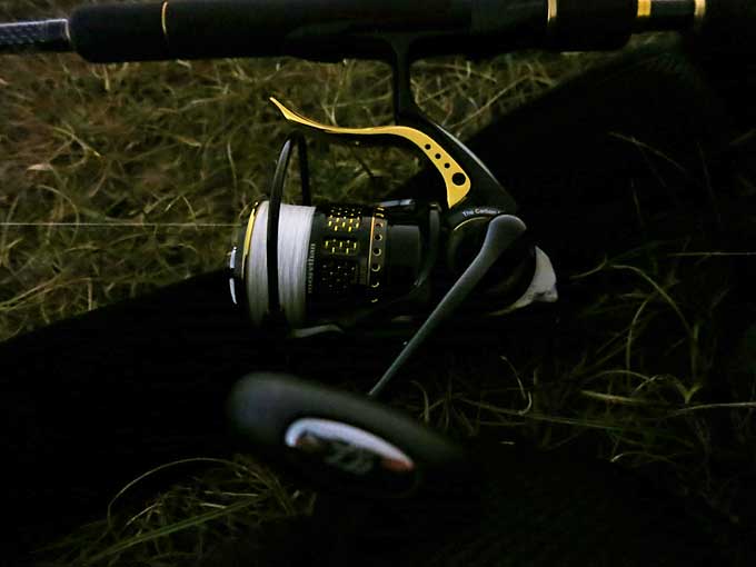 ブランジーノLB