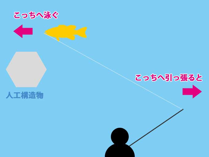 シーバスをバラさない為のやり取り