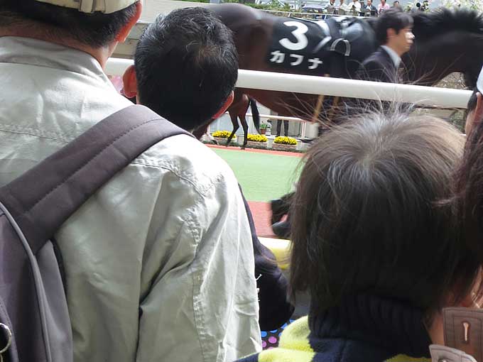 阪神競馬場