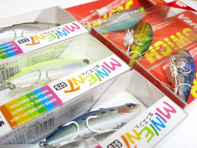 ミニエントとバリッド