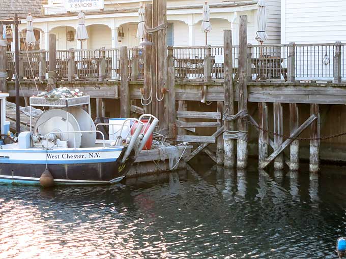 ラグーンエリア