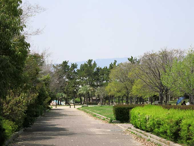 駐車場から浜甲子園運動公園