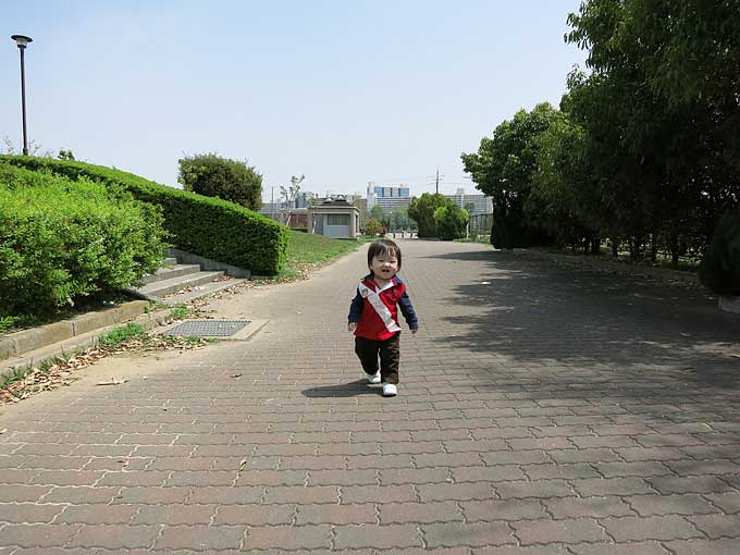 駐車場から浜甲子園運動公園