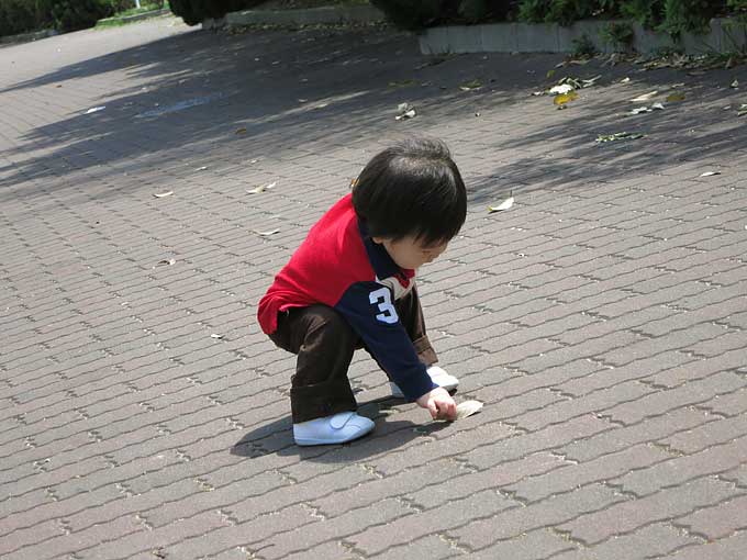 駐車場から浜甲子園運動公園