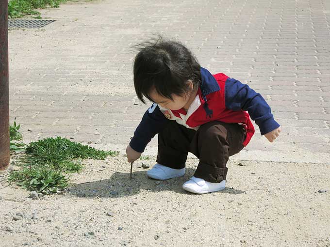 駐車場から浜甲子園運動公園