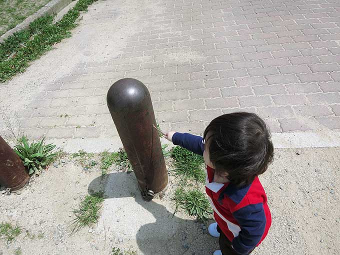 駐車場から浜甲子園運動公園