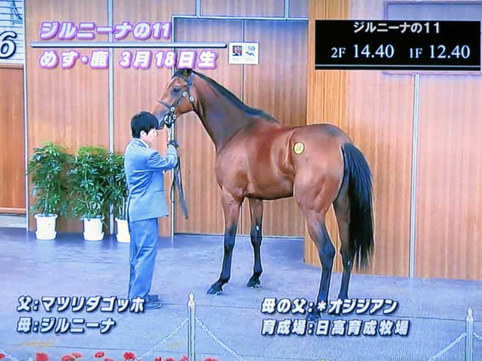 グリーンチャンネル