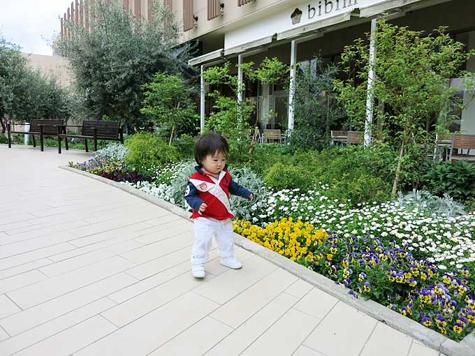 阪急・西宮ガーデンズ(スカイガーデンズ)・花