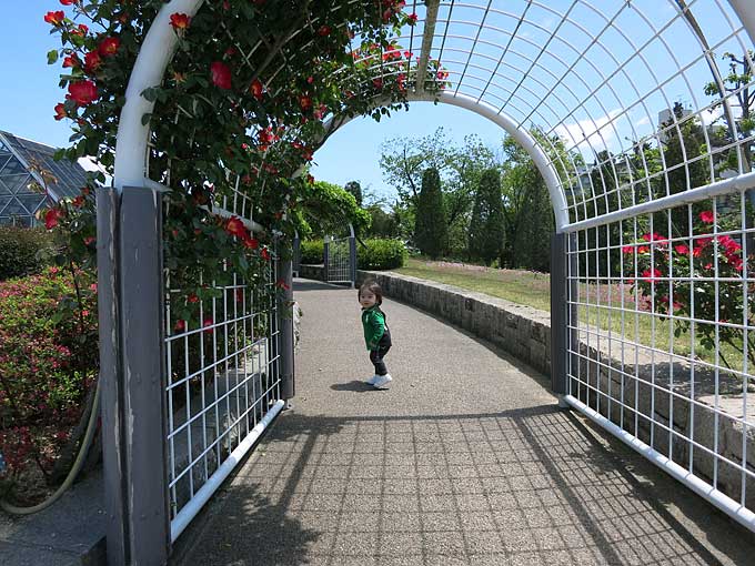 阪神競馬場・セントウルガーデン