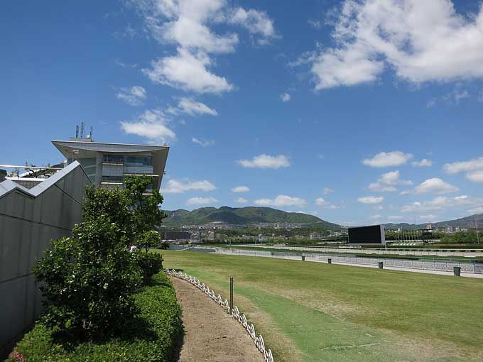 阪神競馬場・セントウルガーデンから馬場へ