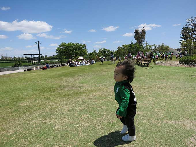 阪神競馬場・馬場の芝生