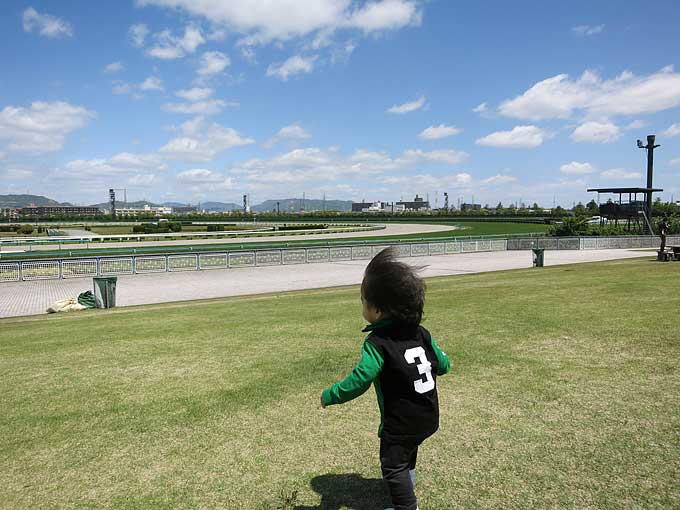 阪神競馬場・馬場の芝生