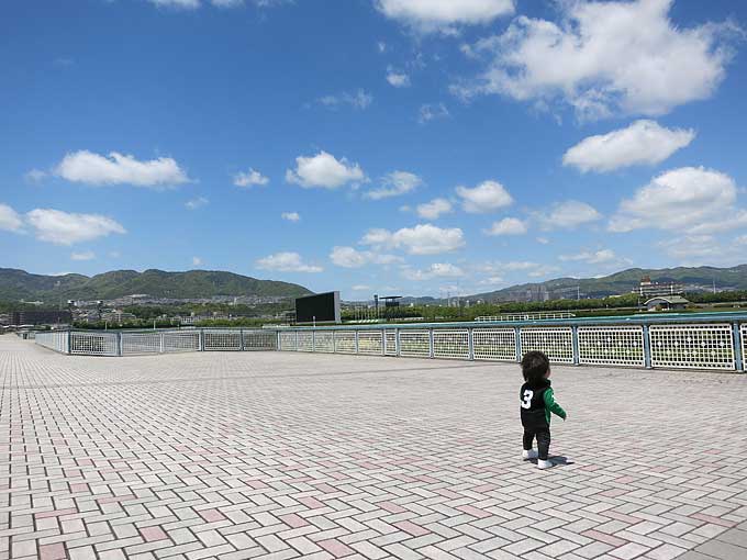 阪神競馬場・馬場の直線