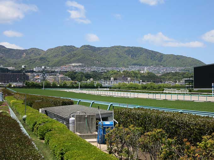 阪神競馬場・最後の坂