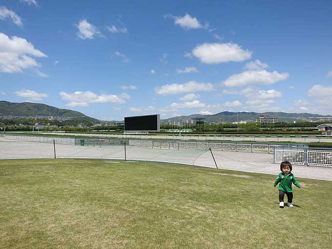 阪神競馬場・芝生公園