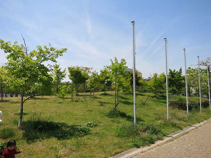 新西宮ヨットハーバー芝生