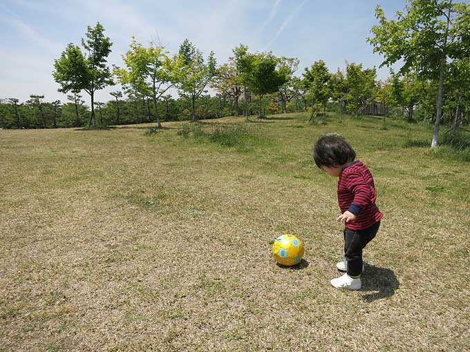 新西宮ヨットハーバー駐車場横の広場