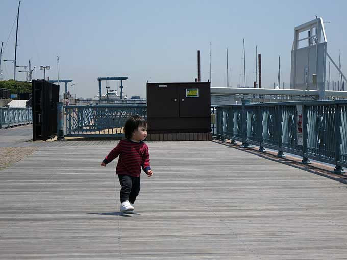 新西宮ヨットハーバーのマリーナの遊歩道