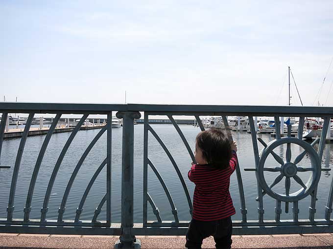 新西宮ヨットハーバーのマリーナの遊歩道