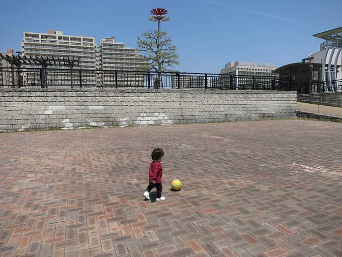 新西宮ヨットハーバーのマリーナの遊歩道