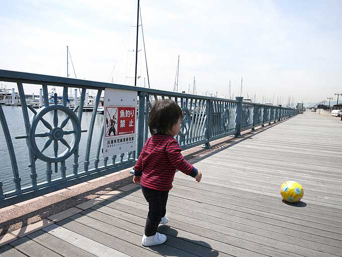 新西宮ヨットハーバーのマリーナの遊歩道