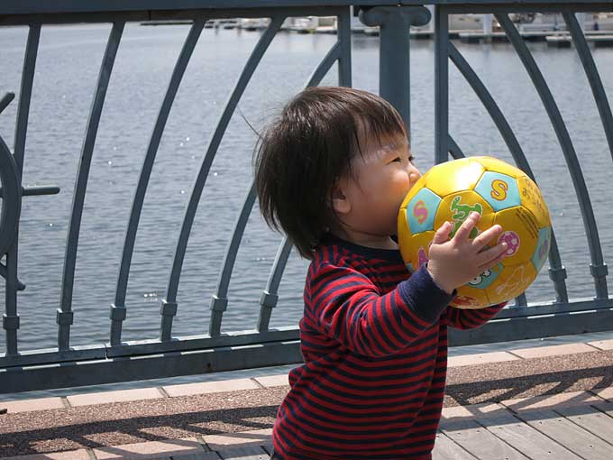 新西宮ヨットハーバーのマリーナの遊歩道