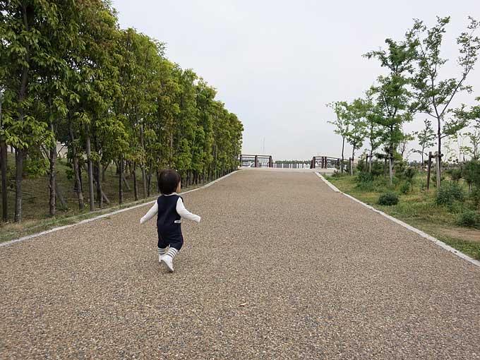 芦屋マリーナへ