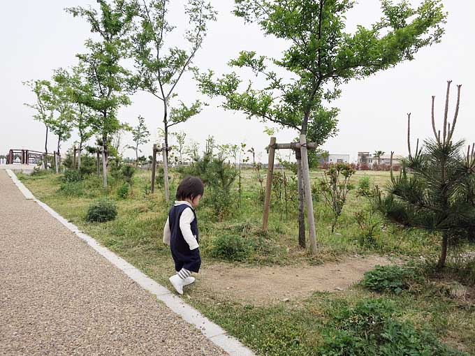 芦屋マリーナ寄り道