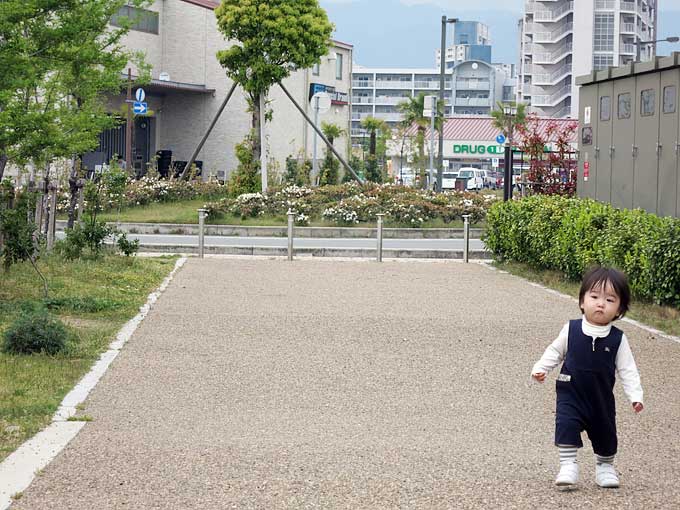芦屋マリーナへ