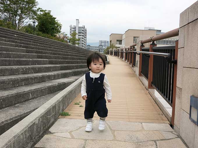 芦屋マリーナ歩道