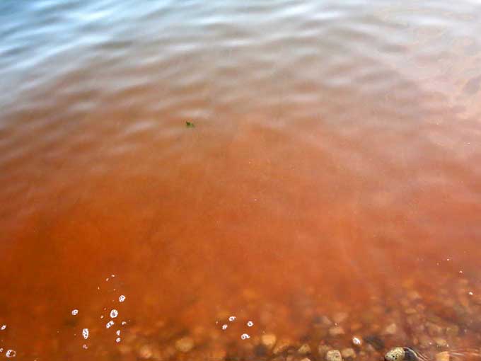 イチゴミルク色