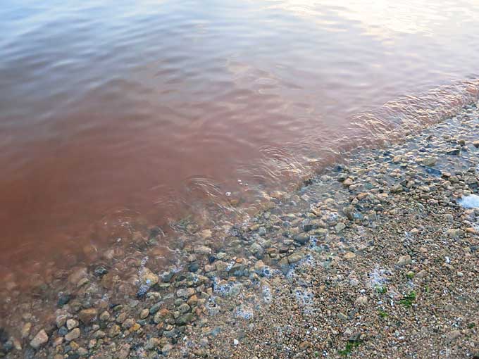 イチゴミルク色