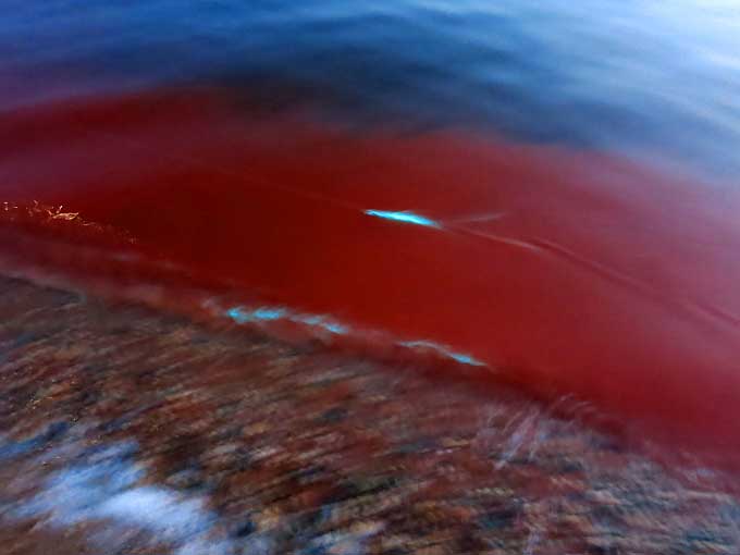 ルアーを動かすと…