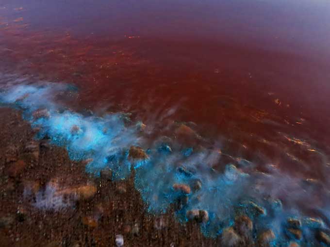 ファンシーな光る海