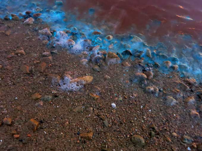 ファンシーな光る海