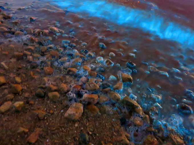 ファンシーな光る海