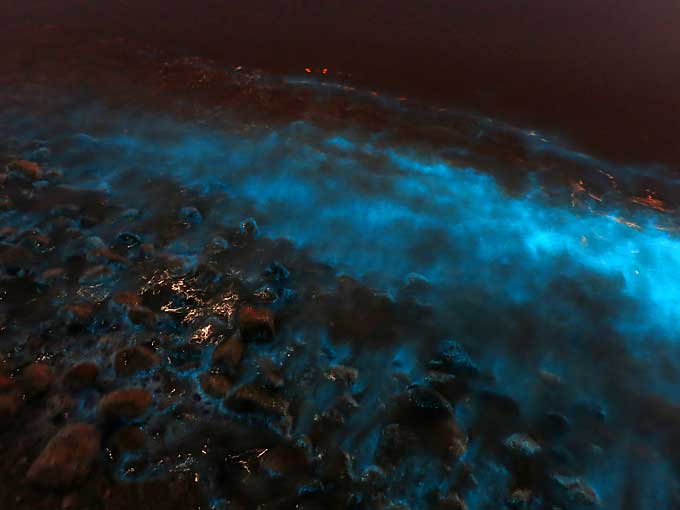 ファンシーな光る海