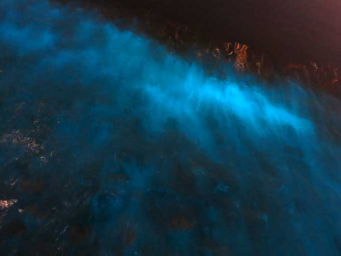 ファンシーな光る海